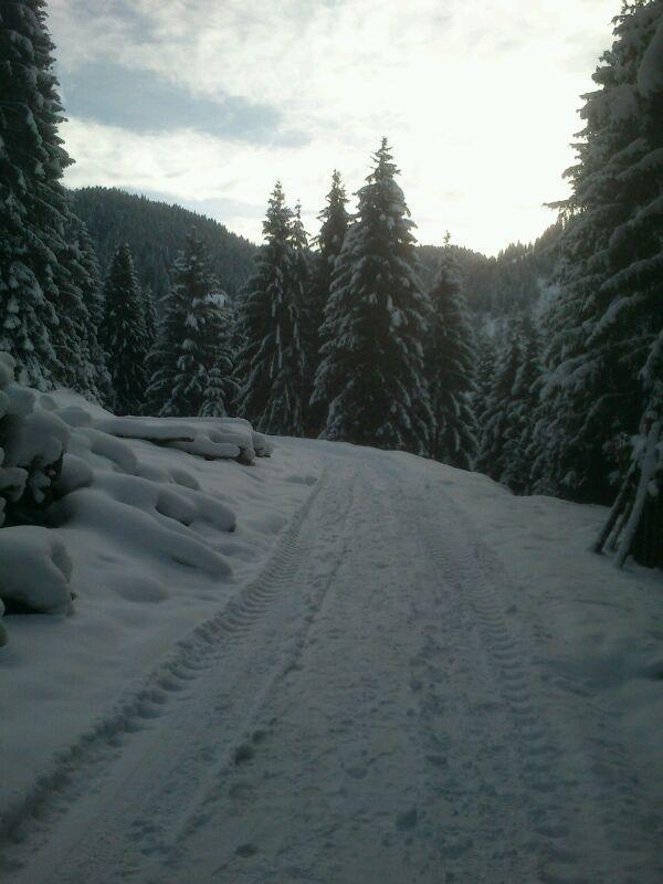 Pension Alpenstern Oberau Bagian luar foto